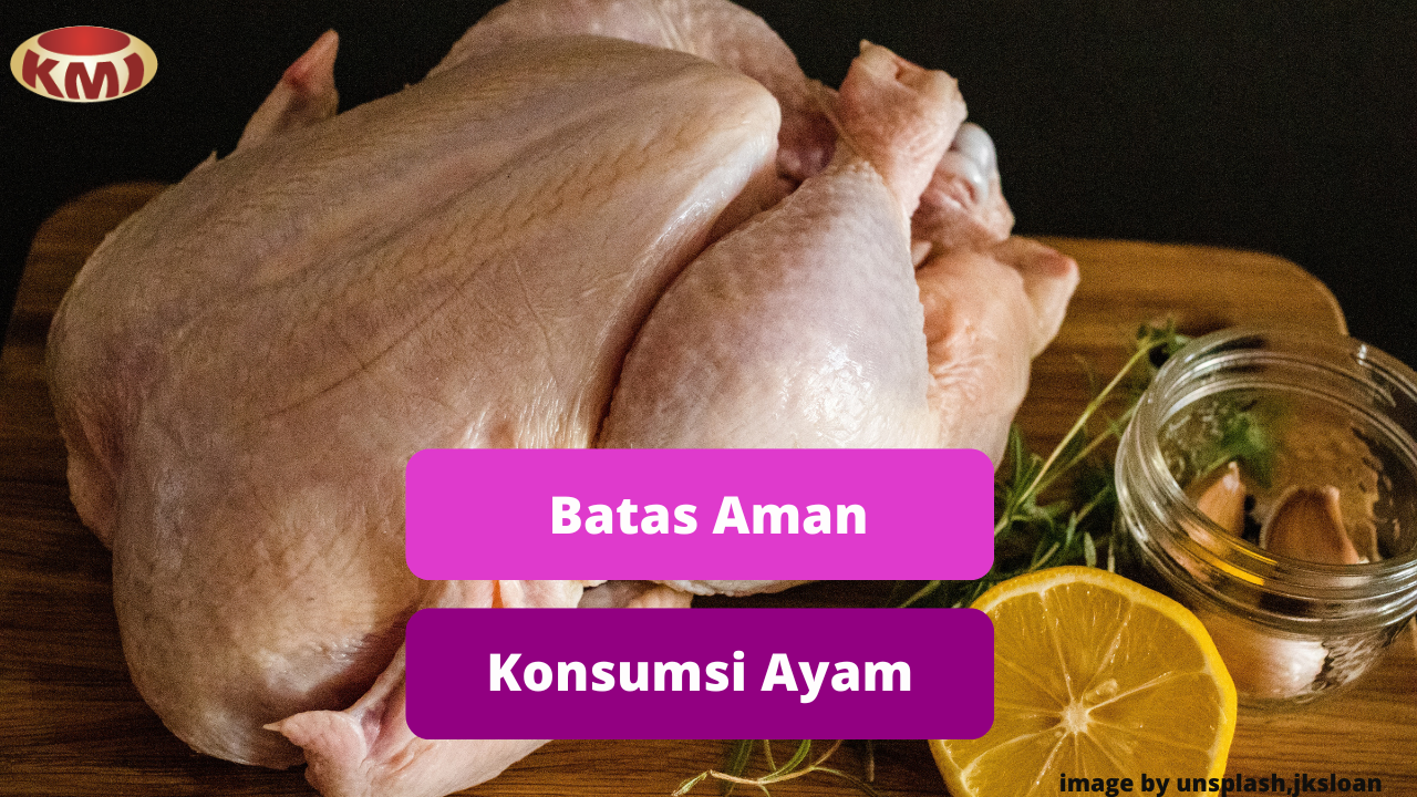 Konsumsi Aman Daging Ayam